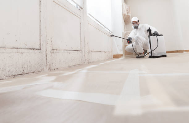 24/7 Emergency Basement Mold Remediation experts in Lincoln University, PA